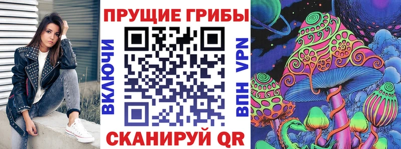Псилоцибиновые грибы ЛСД  OMG   Куртамыш  продажа наркотиков 